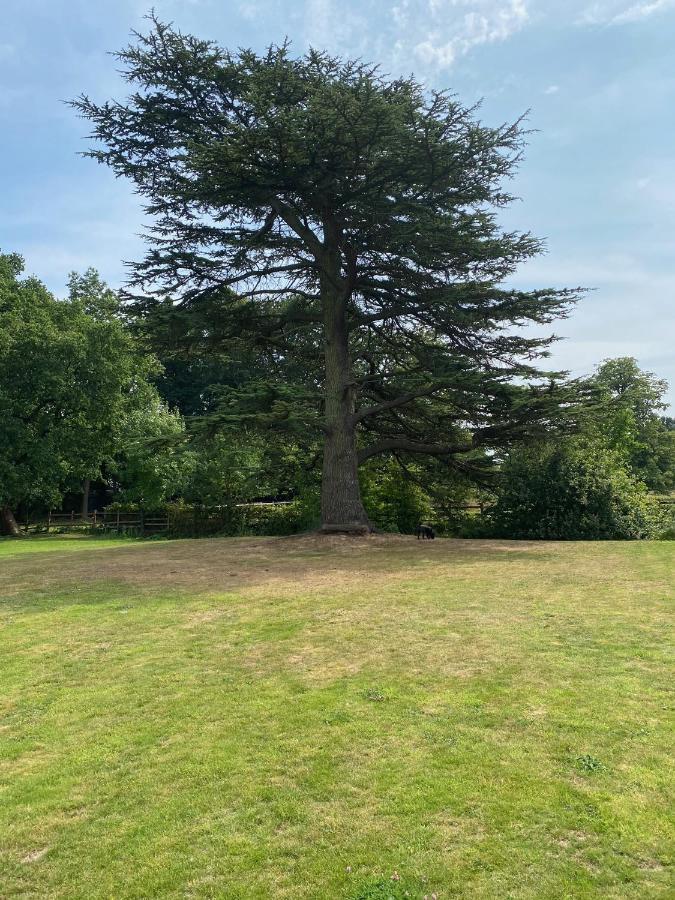 Coundon Lodge Coventry Zewnętrze zdjęcie