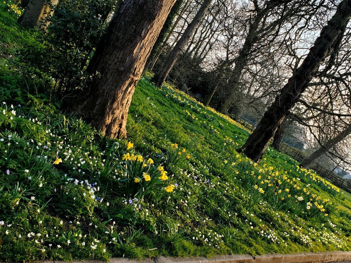 Coundon Lodge Coventry Zewnętrze zdjęcie