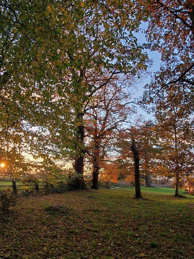 Coundon Lodge Coventry Zewnętrze zdjęcie