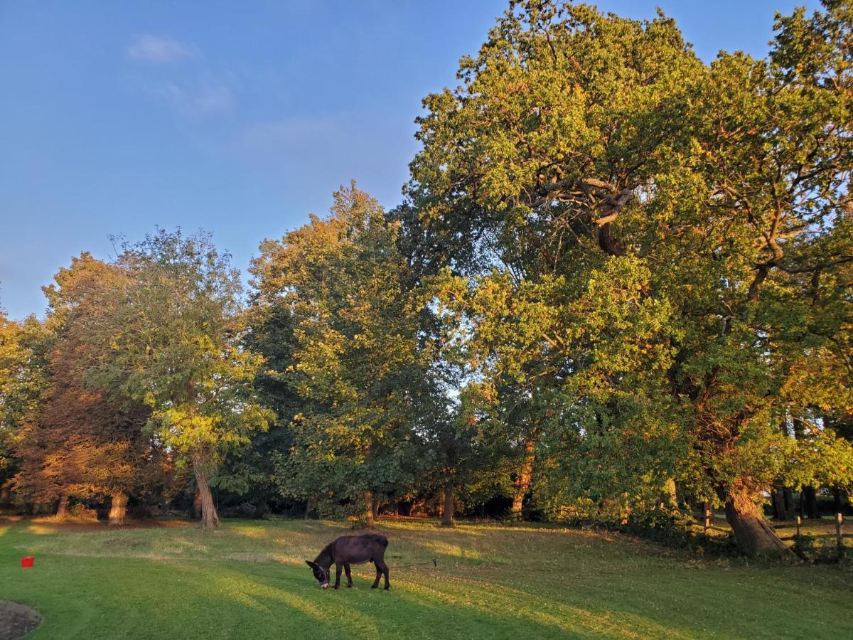 Coundon Lodge Coventry Zewnętrze zdjęcie